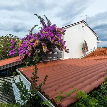 House Zeljko Σπίτι διακοπών Sućuraj